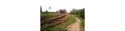 கேசாவரம்